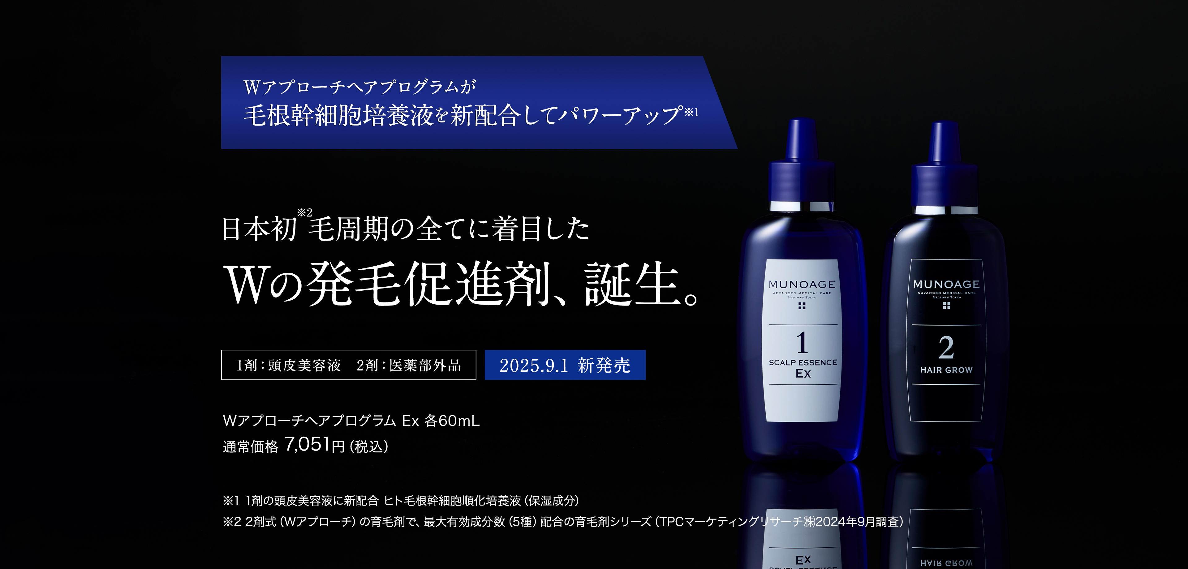 WアプローチヘアプログラムEx