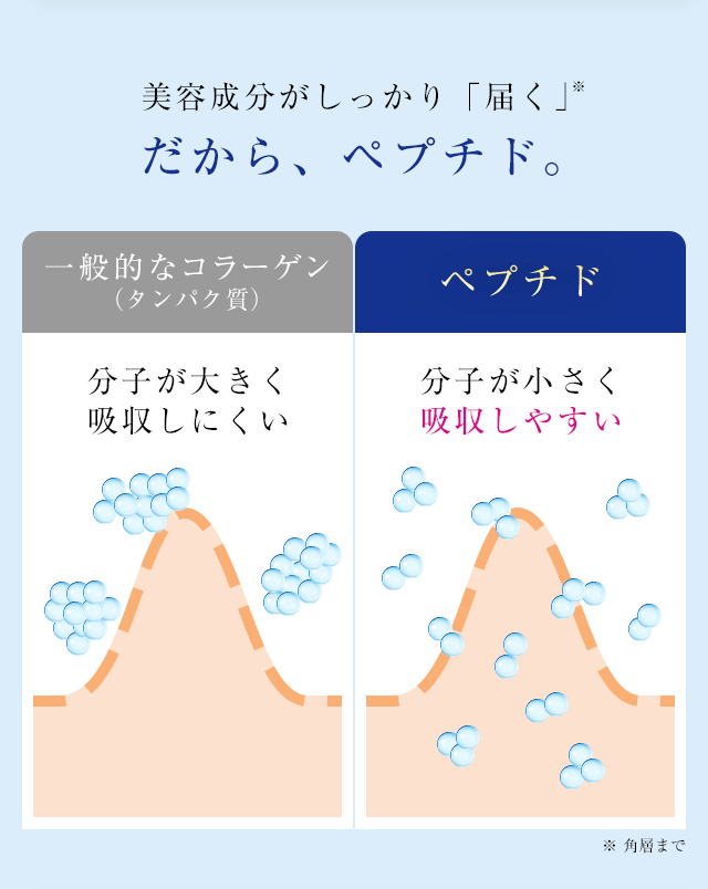 美容成分がしっかり「届く」だから、ペプチド。