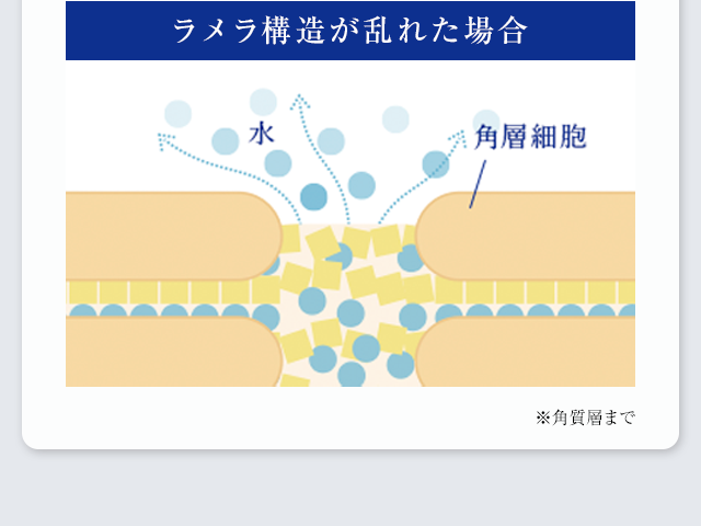 徐々に敏感になる年齢肌に負担をかけないこだわり